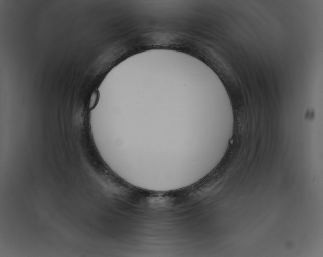 X0000089420216200707131829