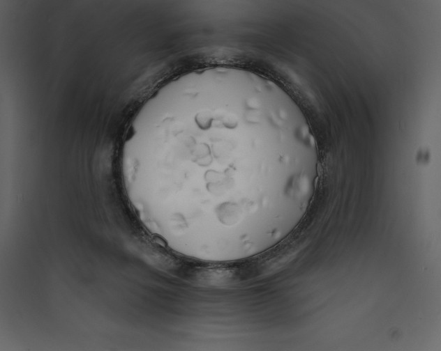 X0000089420217200707131829