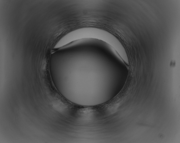 X0000089420219200707131829
