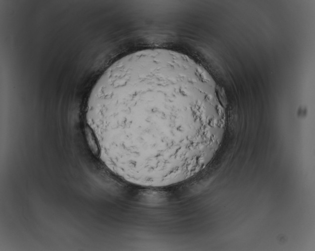 X0000089420221200707131829