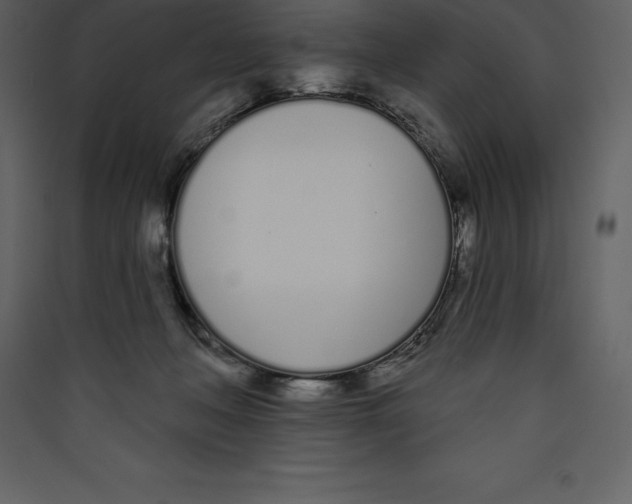 X0000089420222200707131829