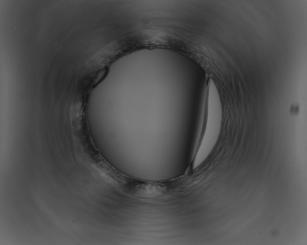 X0000089420223200707131829