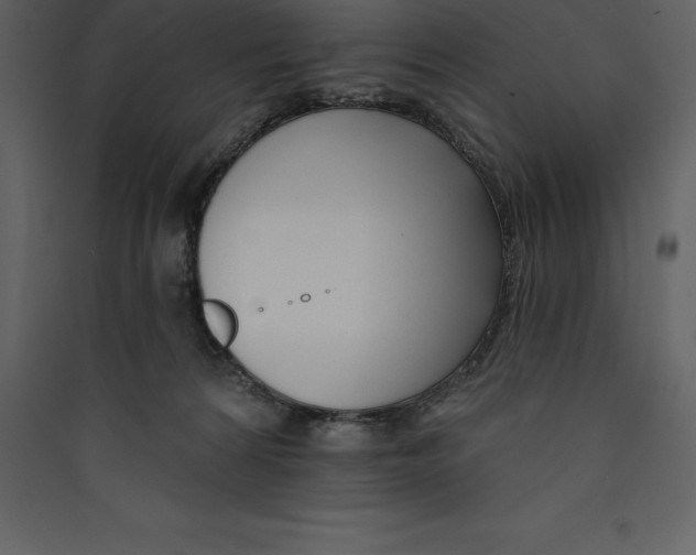 X0000089420224200707131829