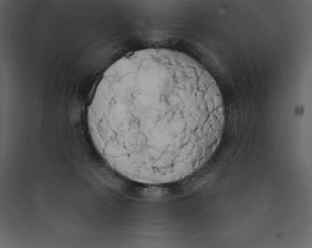 X0000089420225200707131829