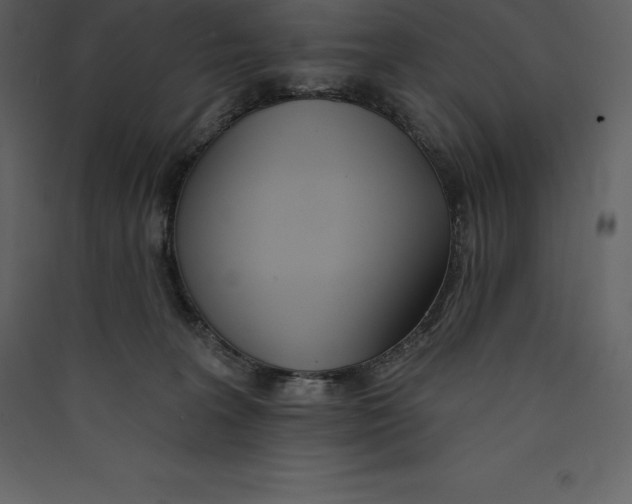 X0000089420227200707131829