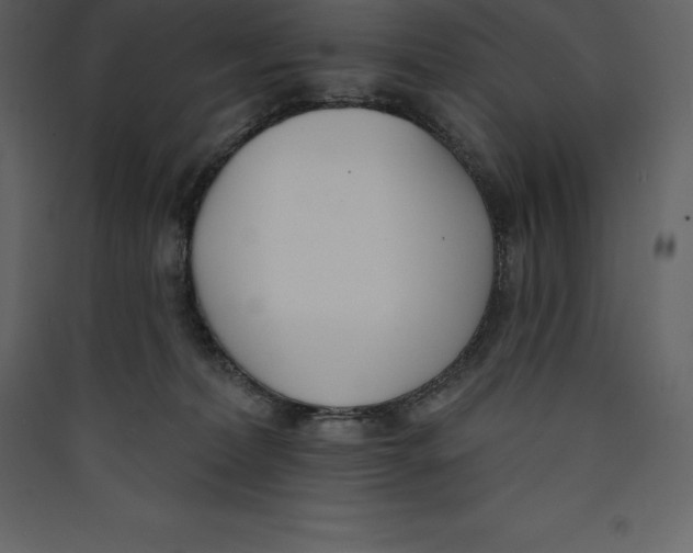 X0000089420228200707131829