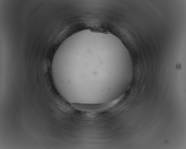 X0000089420229200707131829