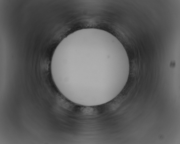 X0000089420230200707131829