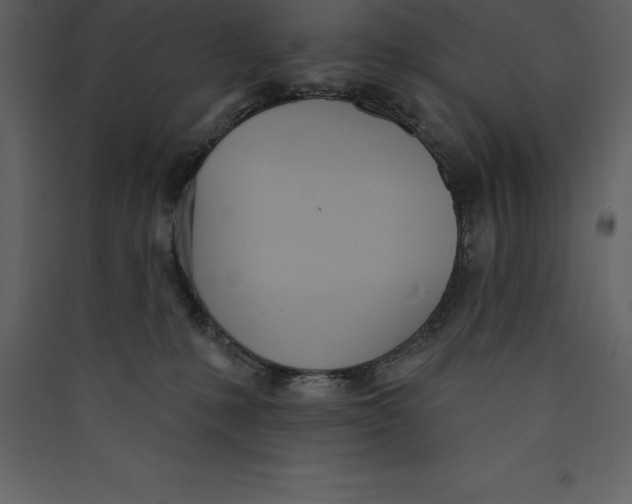 X0000089420231200707131829