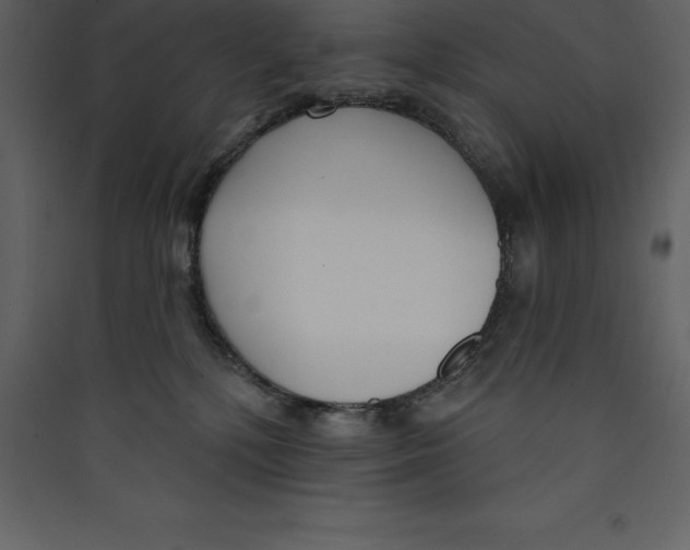 X0000089420232200707131829