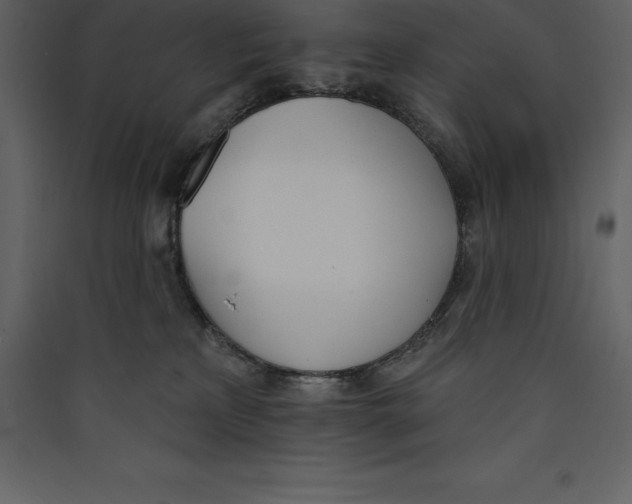 X0000089420233200707131829