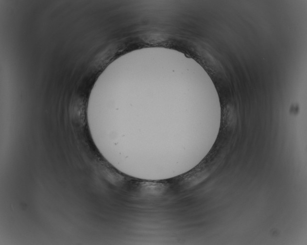 X0000089420234200707131829