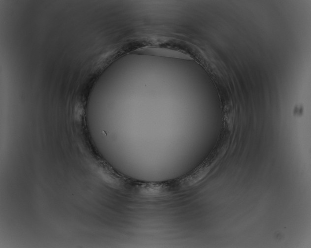X0000089420235200707131829