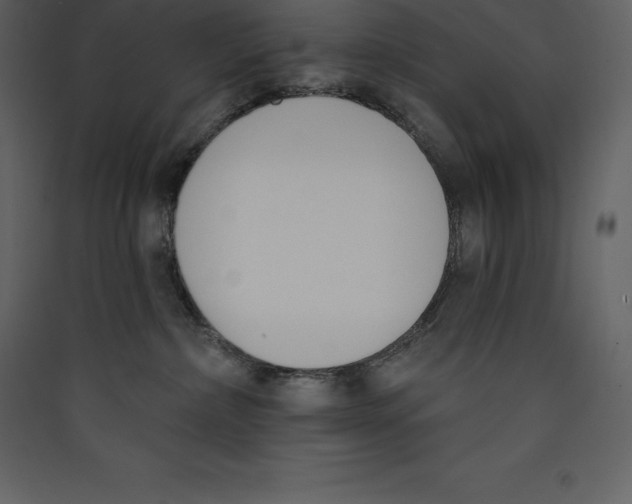 X0000089420236200707131829