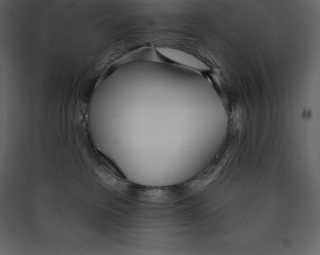 X0000089420237200707131829