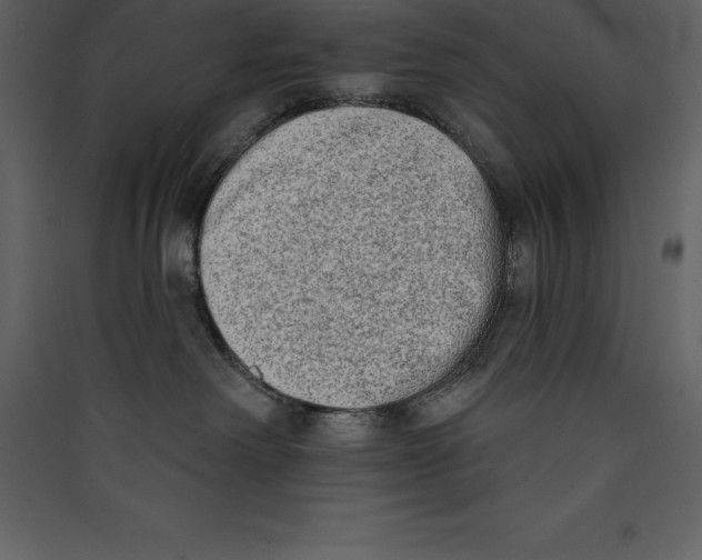X0000089420238200707131829
