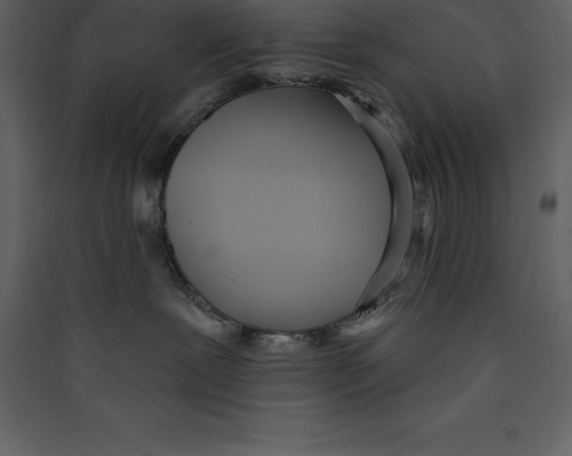 X0000089420239200707131829