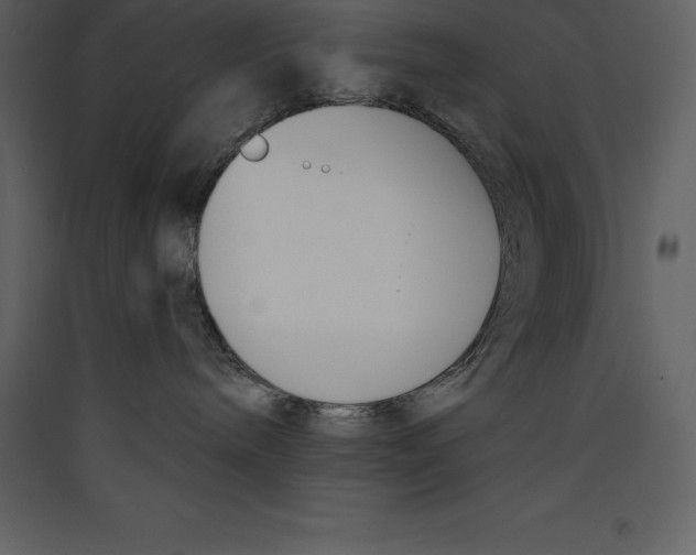 X0000089420240200707131829