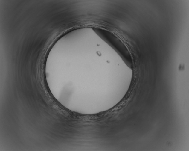 X0000089420241200707131828