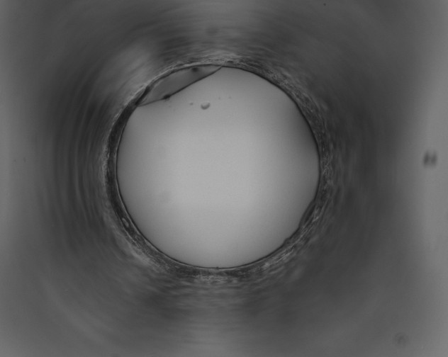 X0000089420242200707131828