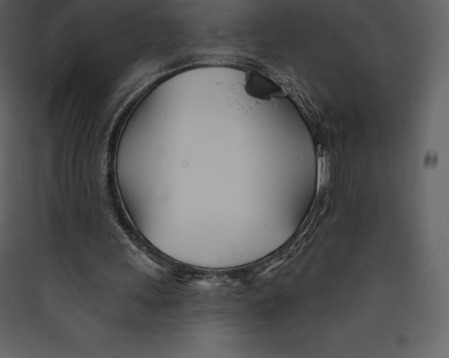 X0000089420243200707131828