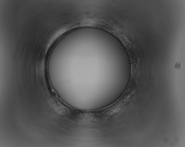 X0000089420244200707131828