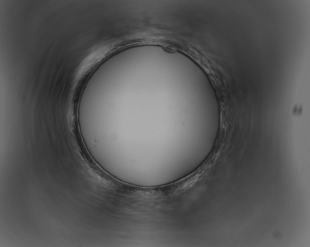 X0000089420245200707131828