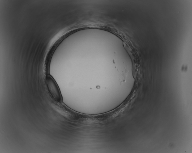 X0000089420246200707131828