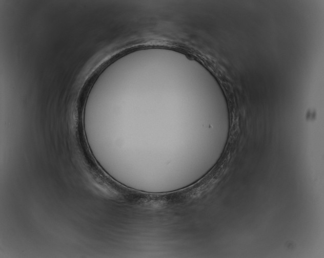X0000089420247200707131828