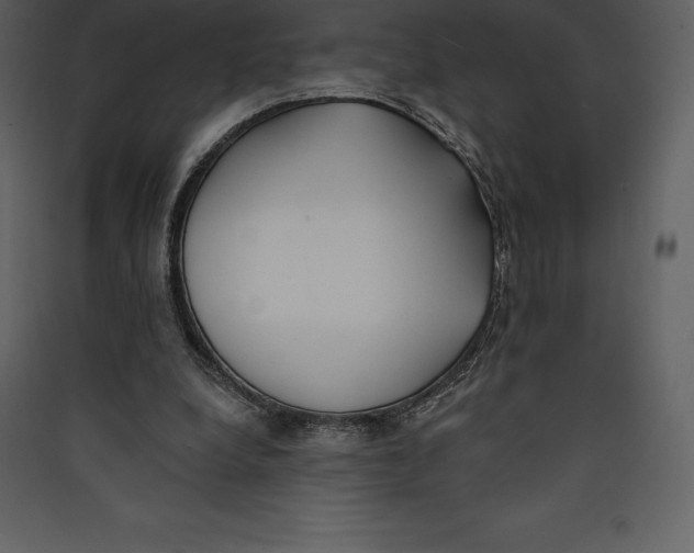 X0000089420248200707131828