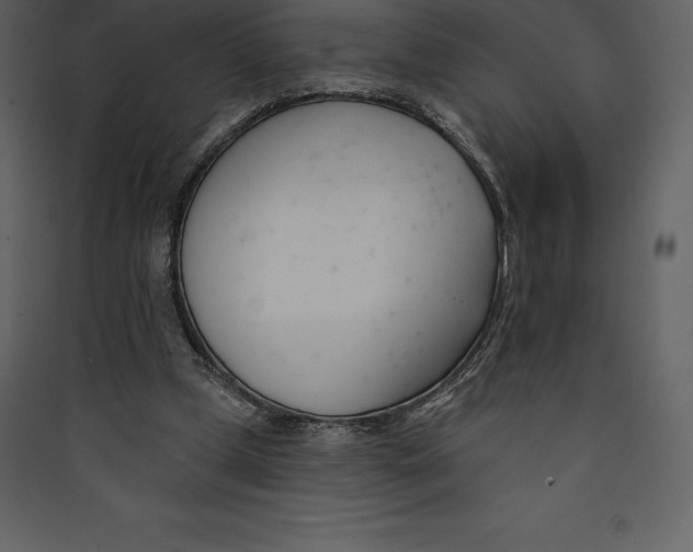 X0000089420249200707131828