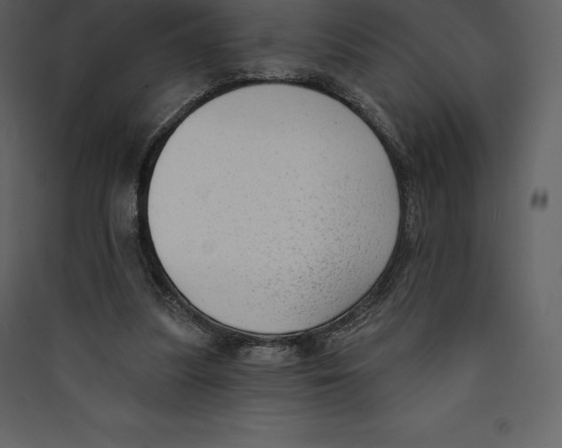 X0000089420251200707131828