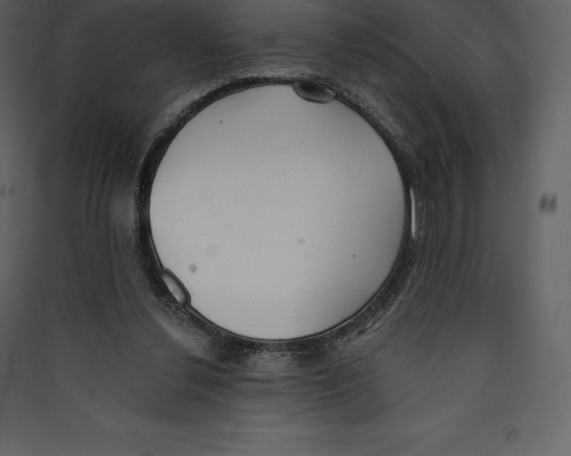 X0000089420252200707131828
