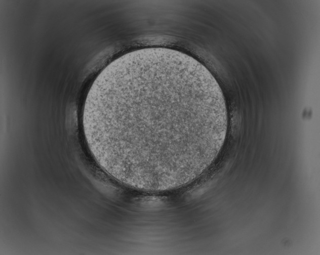X0000089420254200707131828