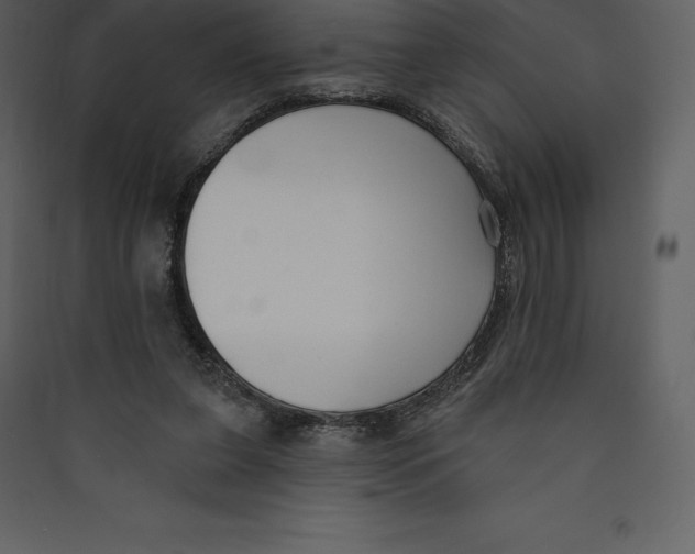 X0000089420255200707131828