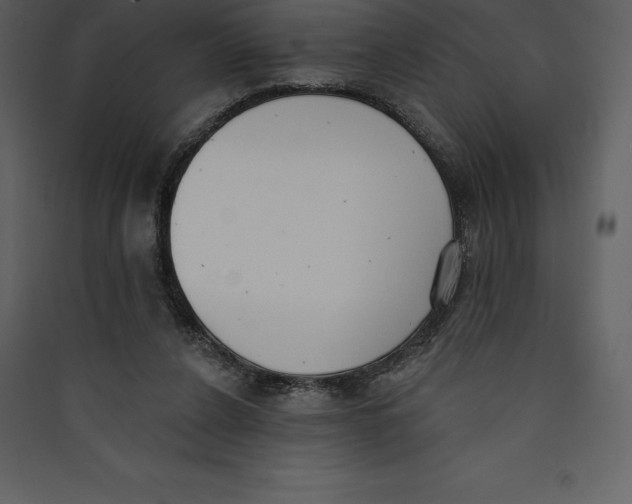X0000089420256200707131828