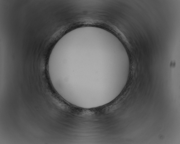 X0000089420257200707131828