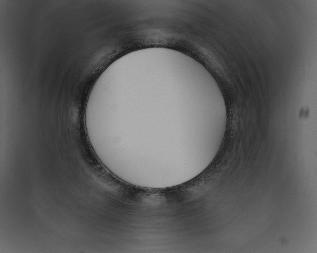 X0000089420258200707131828