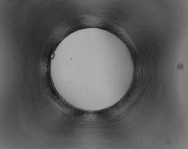 X0000089420259200707131828