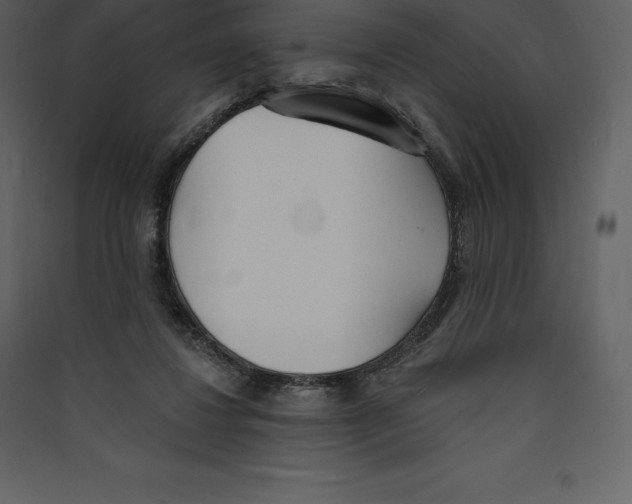 X0000089420260200707131828