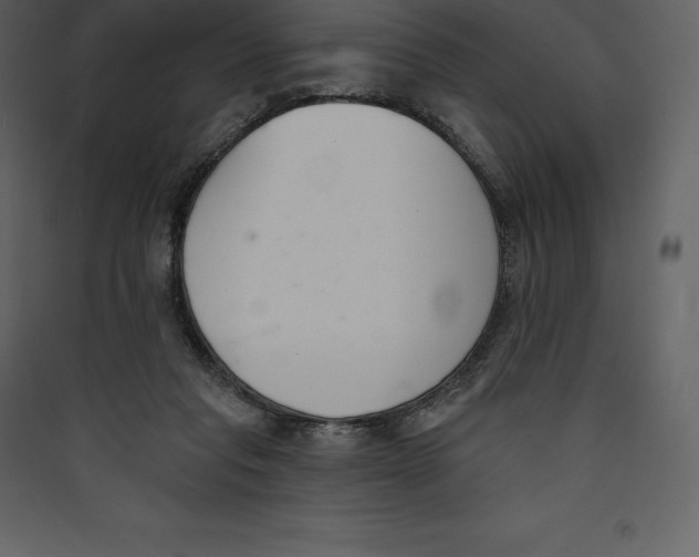 X0000089420261200707131828
