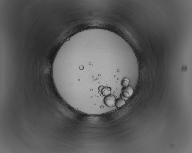 X0000089420265200707131828