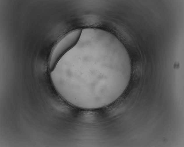 X0000089420268200707131828