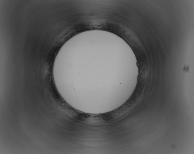 X0000089420270200707131828