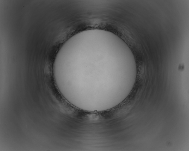 X0000089420272200707131828
