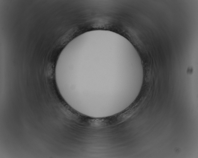 X0000089420273200707131828