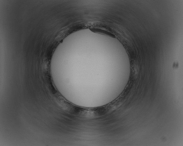 X0000089420276200707131828