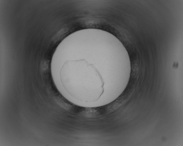 X0000089420278200707131828