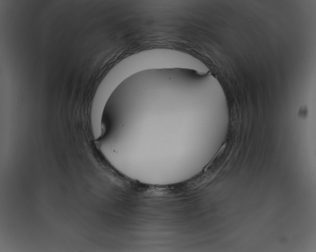X0000089420280200707131828