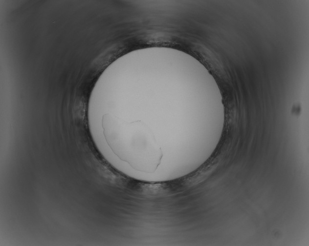 X0000089420281200707131829